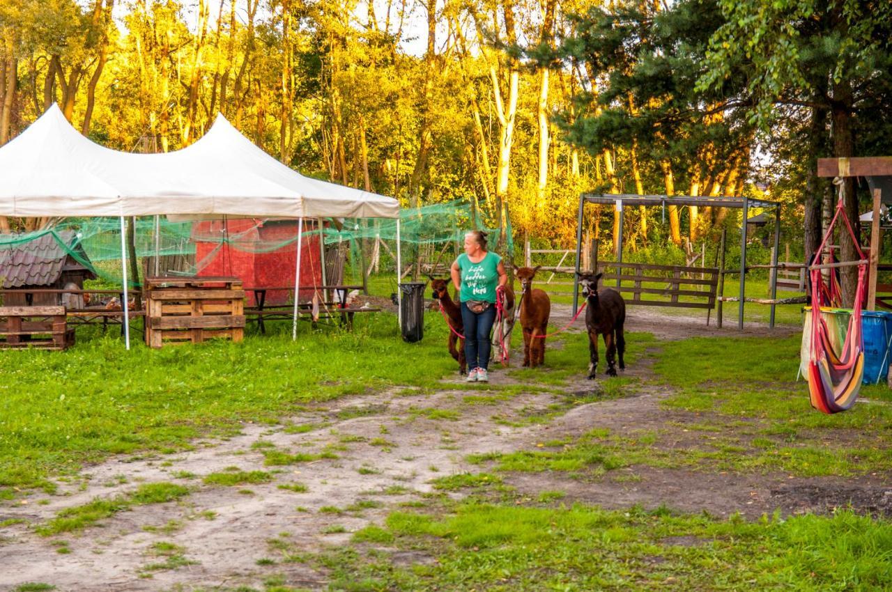 Glamping Z Alpakami Hotel Jankowice  Bagian luar foto